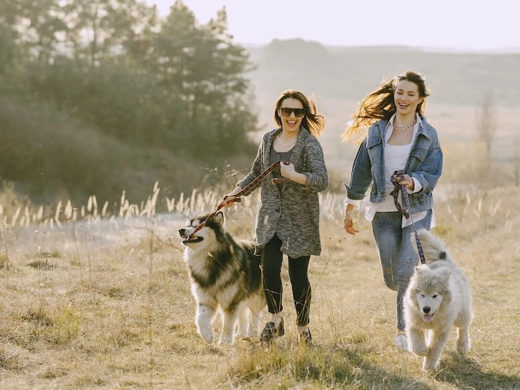 Two women walking their dogs.